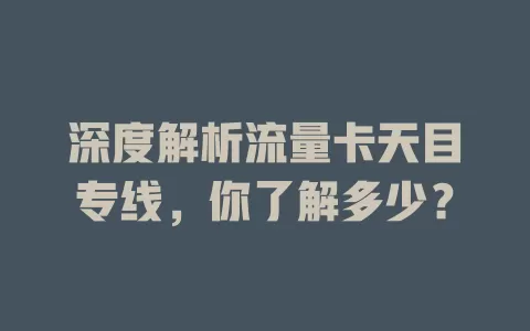 深度解析流量卡天目专线，你了解多少？