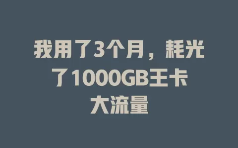 我用了3个月，耗光了1000GB王卡大流量
