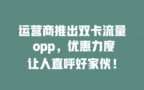 运营商推出双卡流量 opp，优惠力度让人直呼好家伙！