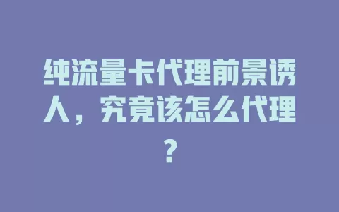 纯流量卡代理前景诱人，究竟该怎么代理？