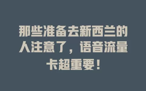 那些准备去新西兰的人注意了，语音流量卡超重要！
