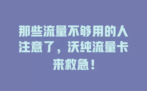 那些流量不够用的人注意了，沃纯流量卡来救急！