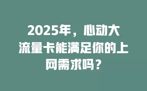 2025年，心动大流量卡能满足你的上网需求吗？