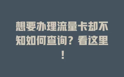 想要办理流量卡却不知如何查询？看这里！