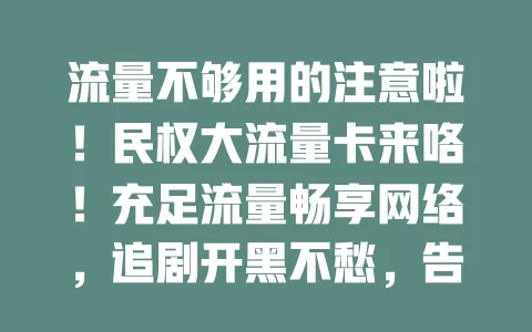 流量不够用的注意啦！民权大流量卡来咯！充足流量畅享网络，追剧开黑不愁，告别断网，让生活工作更便捷高效！