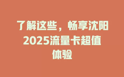 了解这些，畅享沈阳2025流量卡超值体验