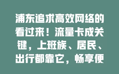 浦东追求高效网络的看过来！流量卡成关键，上班族、居民、出行都靠它，畅享便捷数字生活，快选适合的开启精彩网络之旅