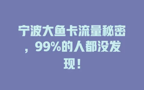 宁波大鱼卡流量秘密，99%的人都没发现！