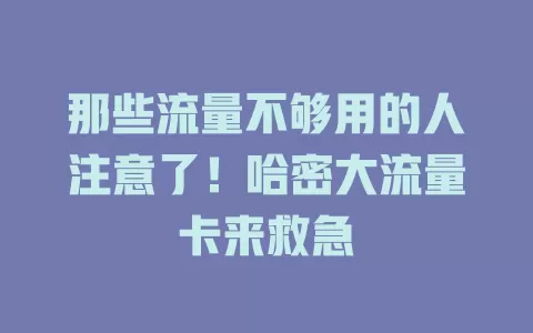 那些流量不够用的人注意了！哈密大流量卡来救急