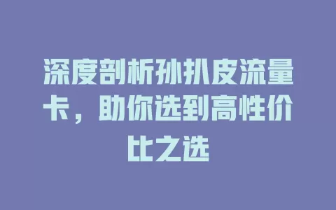 深度剖析孙扒皮流量卡，助你选到高性价比之选