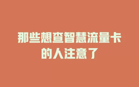 那些想查智慧流量卡的人注意了