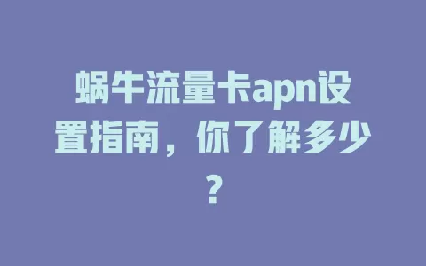 蜗牛流量卡apn设置指南，你了解多少？