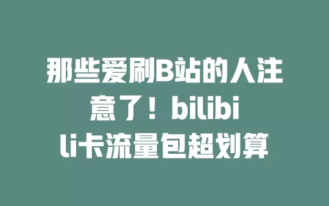 那些爱刷B站的人注意了！bilibili卡流量包超划算