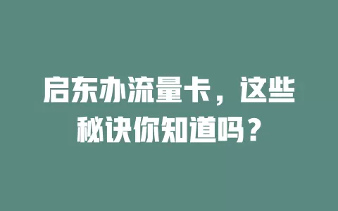 启东办流量卡，这些秘诀你知道吗？