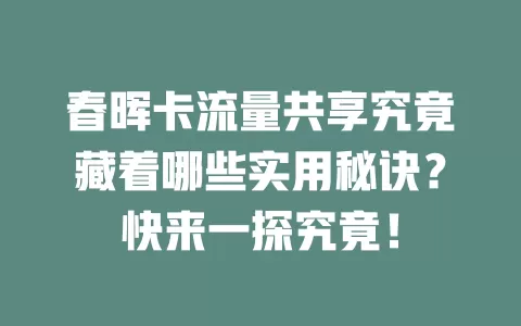 春晖卡流量共享究竟藏着哪些实用秘诀？快来一探究竟！