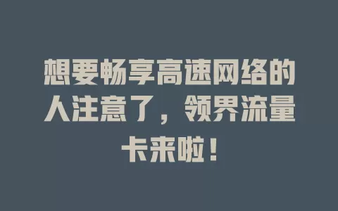 想要畅享高速网络的人注意了，领界流量卡来啦！