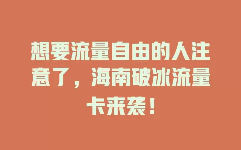 想要流量自由的人注意了，海南破冰流量卡来袭！