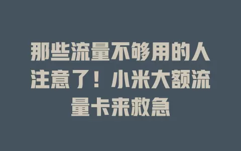 那些流量不够用的人注意了！小米大额流量卡来救急
