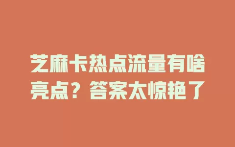 芝麻卡热点流量有啥亮点？答案太惊艳了