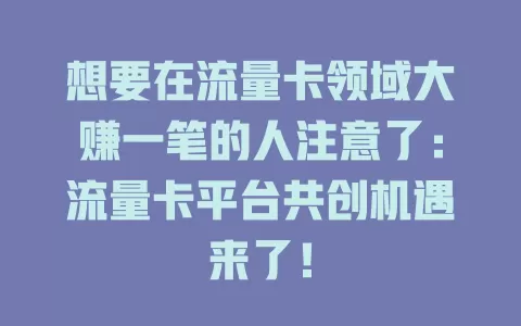 想要在流量卡领域大赚一笔的人注意了：流量卡平台共创机遇来了！