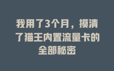 我用了3个月，摸清了猫王内置流量卡的全部秘密