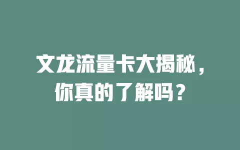 文龙流量卡大揭秘，你真的了解吗？