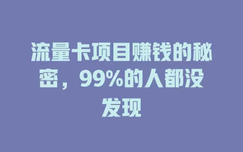 流量卡项目赚钱的秘密，99%的人都没发现