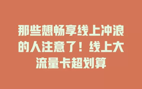 那些想畅享线上冲浪的人注意了！线上大流量卡超划算