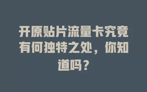开原贴片流量卡究竟有何独特之处，你知道吗？
