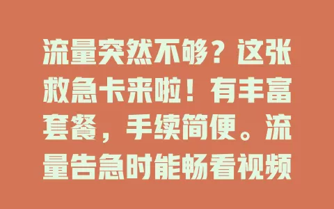 流量突然不够？这张救急卡来啦！有丰富套餐，手续简便。流量告急时能畅看视频、玩游戏，快速解决危机，让网络时刻畅通！