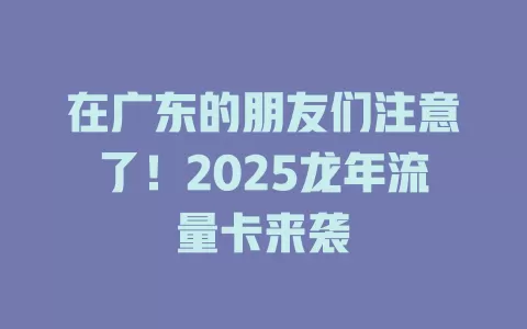 在广东的朋友们注意了！2025龙年流量卡来袭
