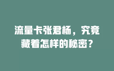 流量卡张君杨，究竟藏着怎样的秘密？