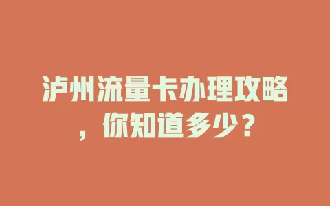 泸州流量卡办理攻略，你知道多少？