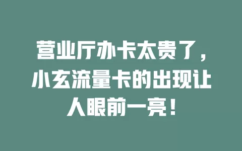 营业厅办卡太贵了，小玄流量卡的出现让人眼前一亮！