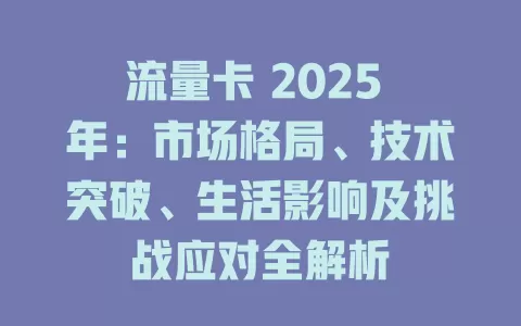 流量卡 2025 年：市场格局、技术突破、生活影响及挑战应对全解析