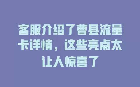 客服介绍了曹县流量卡详情，这些亮点太让人惊喜了
