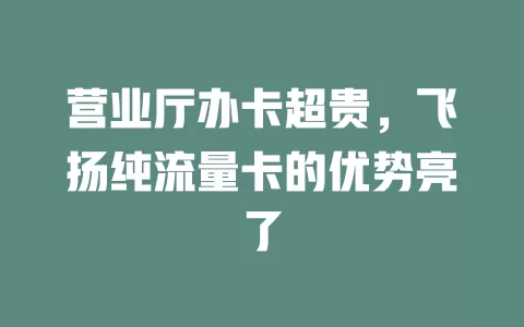 营业厅办卡超贵，飞扬纯流量卡的优势亮了