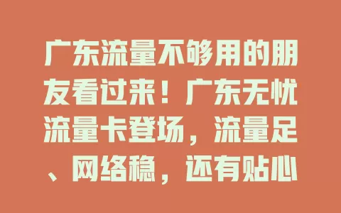 广东流量不够用的朋友看过来！广东无忧流量卡登场，流量足、网络稳，还有贴心套餐，解决你的流量困扰，畅享无忧网络