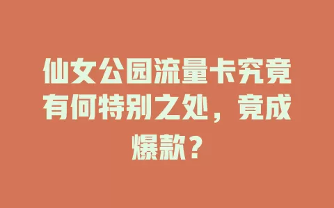 仙女公园流量卡究竟有何特别之处，竟成爆款？