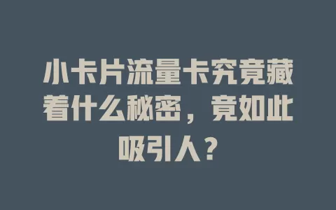 小卡片流量卡究竟藏着什么秘密，竟如此吸引人？
