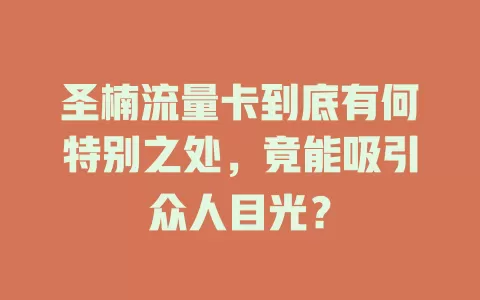 圣楠流量卡到底有何特别之处，竟能吸引众人目光？