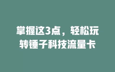 掌握这3点，轻松玩转锤子科技流量卡