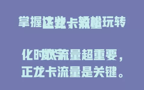 掌握这些，轻松玩转正龙卡流量

数字化时代流量超重要，正龙卡流量是关键。它稳定充足，满足多样需求。个人旅行、工作学习超方便，企业办公更高效。选时依习惯挑套餐，关注细节，发挥其价值畅享便捷。