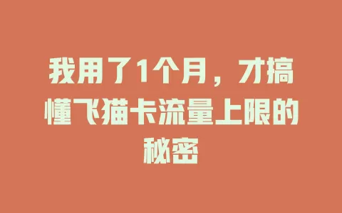 我用了1个月，才搞懂飞猫卡流量上限的秘密