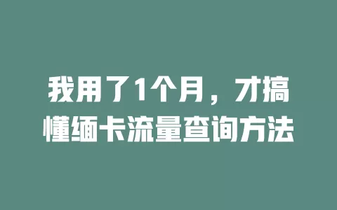 我用了1个月，才搞懂缅卡流量查询方法