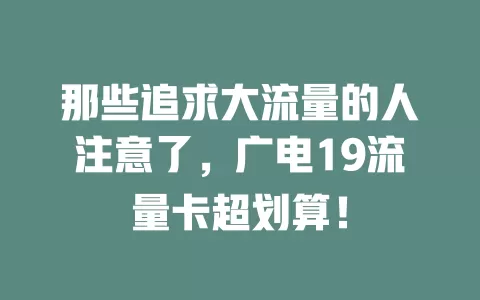 那些追求大流量的人注意了，广电19流量卡超划算！