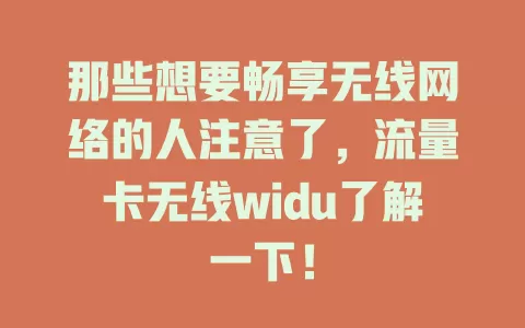 那些想要畅享无线网络的人注意了，流量卡无线widu了解一下！