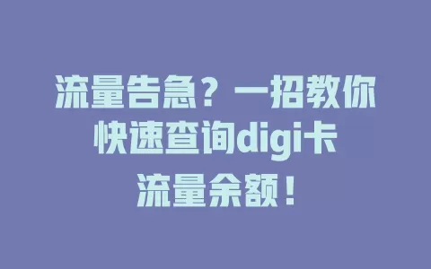 流量告急？一招教你快速查询digi卡流量余额！