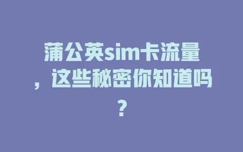 蒲公英sim卡流量，这些秘密你知道吗？