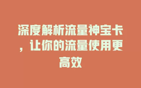 深度解析流量神宝卡，让你的流量使用更高效